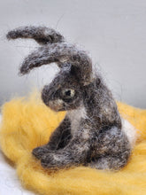 Load image into Gallery viewer, Bunnies - Kimber Valley Farms