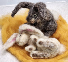 Load image into Gallery viewer, Bunnies - Kimber Valley Farms
