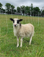 Load image into Gallery viewer, Milkshake &amp; Marshmallow - Premium White Icelandic Roving - Kimber Valley Farms
