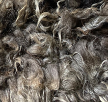 Load image into Gallery viewer, Raw Fleece - Ireland - Kimber Valley Farms
