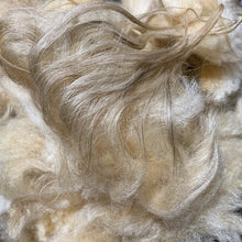 Load image into Gallery viewer, Felted Fleece - Kit Kat - Kimber Valley Farms
