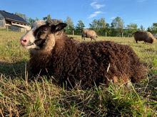 Load image into Gallery viewer, Kupcake &amp; Lallygag - Medium Grey Icelandic Lopi - Kimber Valley Farms
